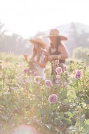 This Flower Farm Will Make You Want To Become A Flower Farmer Julia Berolzheimer Flower Farmer Flower Farm Flowers