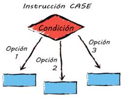 Resultado de imagen de instruccion case