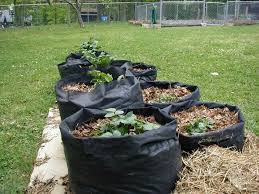 How to make garden grow bags. Make Your Own Potato Grow Bags Diy Projects For Everyone
