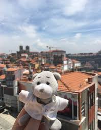 Saudacoes Do Porto Teddy Bear Bear Teddy