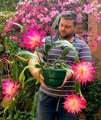 Image result for Liparis bowkeri