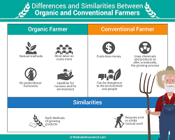 Organic Foods Vs Regular Conventional Food What Is The