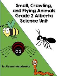 Small Crawling And Flying Animals Worksheets Teaching