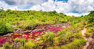 Maybe you would like to learn more about one of these? Asi Es Cano Cristales El Rio Mas Bello Del Mundo America