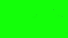 Memang beberapa institusi memiliki aturan tertentu tentang latar. 40 N Ideas In 2021 Permainan Video Jerung Nicki Minaj