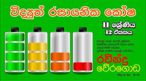 Similarly, zhang et al.provide an update on understanding the regulation of secondary wall synthesis at the transcriptional level in woody species. Biology Cell Structure In Sinhala à·ƒ à¶½ à·€ à¶º à·„à¶º Grade 10 Science Ravindra Weragoda Youtube