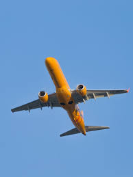 Image result for Dark Yellow Green 2016 Fleet