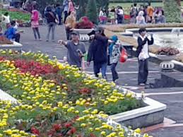 Sebuah lukisan pemandangan taman bunga yang indah. Menikmati Indahnya Pemandangan Taman Bunga Nusantara Portal Seputar Cimanggu Bogor