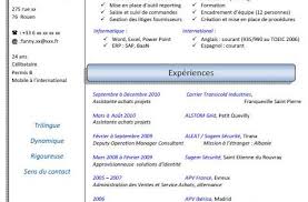 Exemple Cv Assistant De Direction Cv Anonyme Assistante De Direction Exemple Cv Cv Francais
