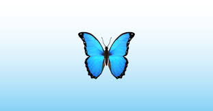 Check spelling or type a new query. Butterfly Emoji