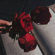 A apărut o eroare la preluarea informațiilor privind trimiterea. Pin On Aesthetics Wallpapers