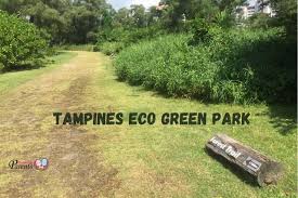 Tampines eco green is a park in tampines, singapore. Tampines Eco Green Singapore
