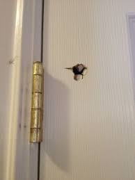 How To Patch A Hole Fix Hole In Wall Diy Home Repair Home Repair