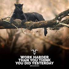 9 328 Likes 81 Comments Beast Desire Beastdesire On Instagram Comment Hustle Word By Word Beastdesire Bea Warrior Quotes Beast Beautiful Quotes