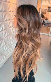 Pin By Megan On Hair Honey Hair Brown Hair Balayage Highlights Brown Hair Balayage