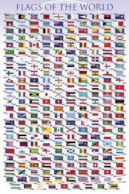 Amazon Com Laminated Flags Of The World Educational Chart