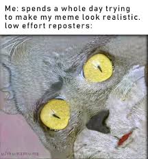 Realistic Memes Memes Viral Trends Funny Meme Twitch Kappa Funny Relatable Memes Stupid Memes Tom Meme