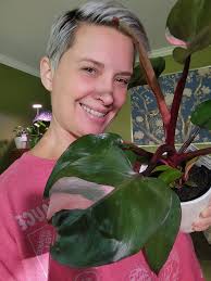 Green Weenie Award contender for sure. ($19.95