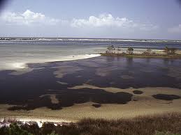 Gasparilla island is also home to gasparilla island state park. List Of Parks In Florida