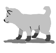 Gon The Sherpa Dog Of Mt Koyasan On Behance Dog Illustration Dogs Animal Illustration