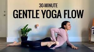 The classes led by renowned yoga instructor and dog lover, suzette ackermann, in hong kong aim to help dogs find their 'inner' peace. Gentle Yoga Flow For Everyone 30 Minute Yoga Practice Youtube