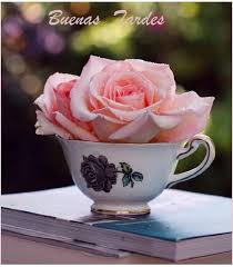 Pin On Roses And Flowers