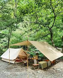 Pin By Katia On Picnic Tent Camping Hacks Camping Shelters Bushcraft Camping