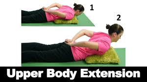Pin On Individual Back Pain Exercises Stretches