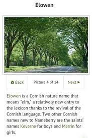 Elowen Elowen Is A Lovely Cornish Nature Name That Means Elm Tree It Has Never Been In The Top 1000 But It Is Easy To Re Nature Names Elm Tree Meant