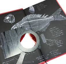 Get expert methods on how to optimize your create a cabinet of curiosities while highlighting your type. Hidden Museum A Cabinet Of Curiosities Book Review The Aoi