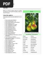 Image result for Pilea sublucens