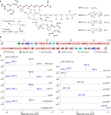 Download contoh soal psikotes 2019 matematika gambar polri bank karayawan deret angka pdf cpns sma online dan jawabannya beserta pembahasannya lengkap Initiating Polyketide Biosynthesis By On Line Methyl Esterification Nature Communications