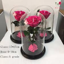 They do not wilt but when over time their colours may begin to fade. Top Sell Real Long Lasting Eternal Preserved Flowers Rose In Glass 17 21cm Flower Glass Dome Buy Preserved Flowers In Glass Flower Glass Dome Eternal Rose In Glass Product On Alibaba Com