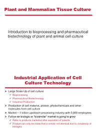 Animal cell biotechnology in biologics production. Introduction To Bioprocessing And Pharmabiotech Biopharmaceutical Cell Culture