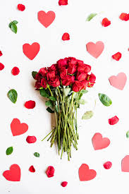 Pin On Roses