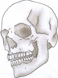Skull Drawings For Diving Logo Skulls Drawing Sketches Skull Drawing