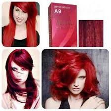 5 1 Gbp Berina Permanent Hair Dye Color Fashion Colour Cream A9 Garnet Red Color A9 Ebay Fashion Dyed Red Hair Hair Color Cream Professional Hair Color