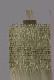 Image result for Pittosporum fulvotomentosum