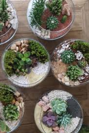 Design Your Own Plant Nite Succulent Garden Succulent Bowls Succulent Arrangements Succulents