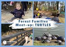 Forest Families Meet-Up: TURTLES