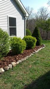 Pine Bark Mulch Landscaping Mulch Landscaping Outdoor Gardens Outdoor