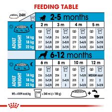 royal canin size health nutrition medium junior puppy dry dog food