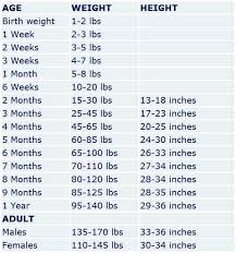 Veritable Baby Weight Increase Chart Six Month Baby Weight