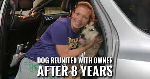 We did not find results for: Pet Microchip Helps Reunite Dog Taken From Gatlinburg Owner 8 Years Ago