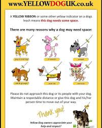 What Is Yellow Dog Uk The Yellow Dog Project Is A Registered Charity Created To Bring Awareness To Dogs Who Need Space While T Dog Projects Dogs Yellow Ribbon