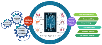 Til schweiger este cel mai cunoscut actor din germania, insa a contribuit si ca producator, regizor si scriitor la o serie de filme. Molecules Free Full Text Multi Organs On Chips Towards Long Term Biomedical Investigations Html