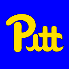 Image result for pitt panthers logo