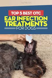 In order to eliminate the fungal infection, you will. Dog Yeast Infection Ear Medicine Www Macj Com Br