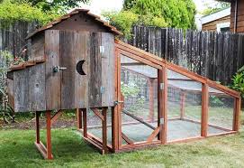 Pngtree menawarkan logo ayam gambar png dan vektor, serta gambar clipart logo ayam latar belakang transparan dan file psd. 25 Dekorasi Desain Kandang Ayam Keren Laughing Chickens Offers Diy Chicken Coops That Can Fit In Kandangayam Mobile Chicken Coop Diy Chicken Coop Chicken Coop