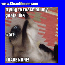 Funny cat memes and dog memes are common in pets, and people love to have them around. Pin By Clean Memes On Clean Memes Clean Funny Memes Really Funny Memes Cat Memes Clean